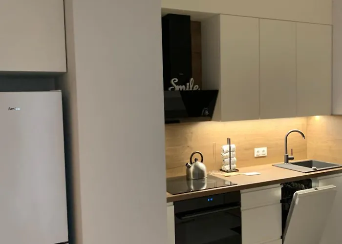 Apartament śródmieście Lowecka21