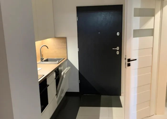 Apartament śródmieście Lowecka21 *