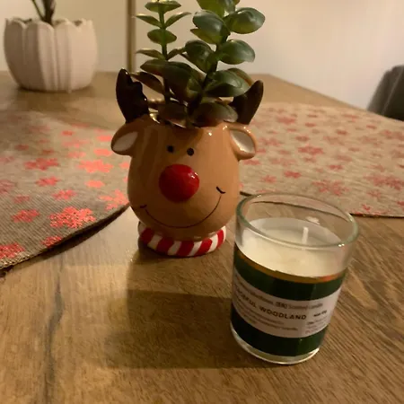 Srodmiescie Lowecka21 Appartement Wrocław