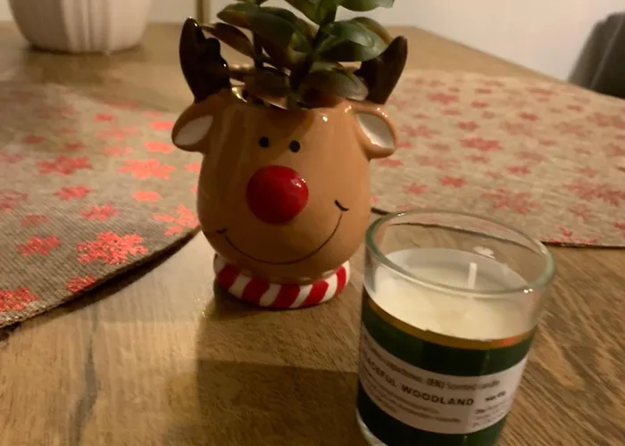 Srodmiescie Lowecka21 Appartement Wrocław